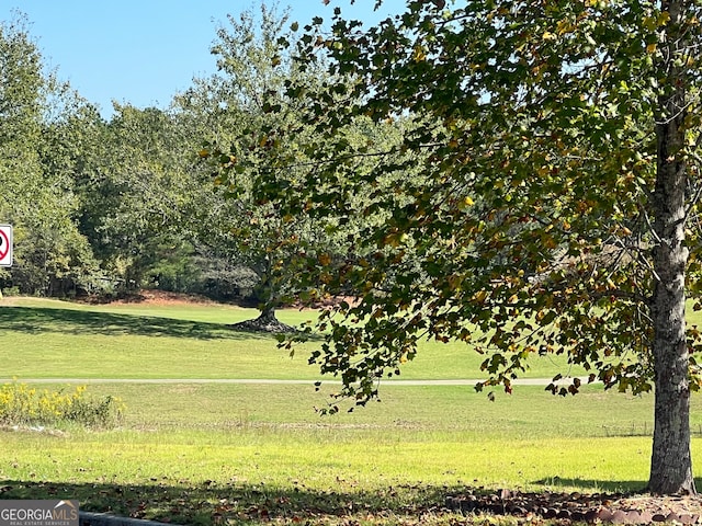 view of property's community with a lawn