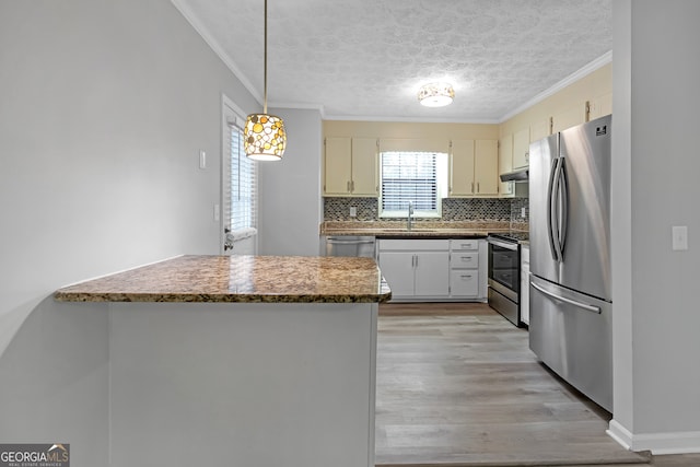 kitchen featuring sink, kitchen peninsula, light hardwood / wood-style floors, stainless steel appliances, and pendant lighting