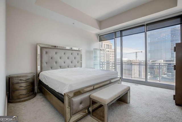 carpeted bedroom featuring a tray ceiling and multiple windows