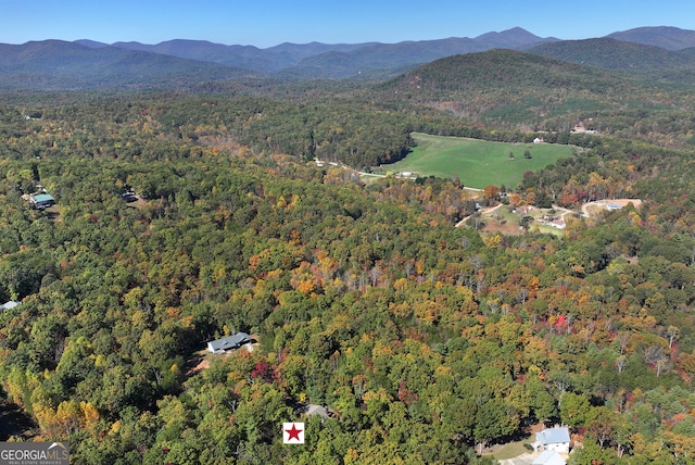 drone / aerial view featuring a mountain view