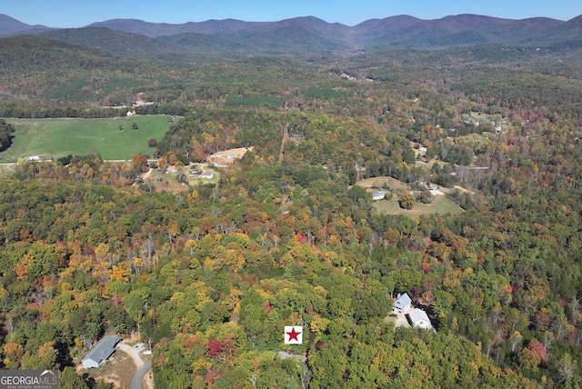 birds eye view of property featuring a mountain view