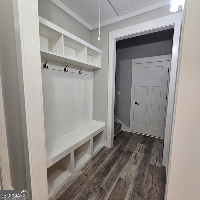 mudroom with ornamental molding and dark hardwood / wood-style flooring