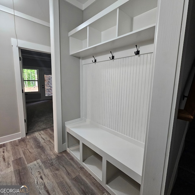 mudroom with dark hardwood / wood-style floors