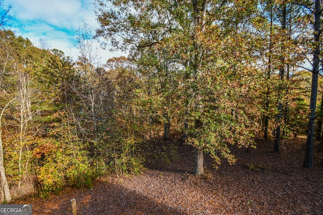 view of local wilderness