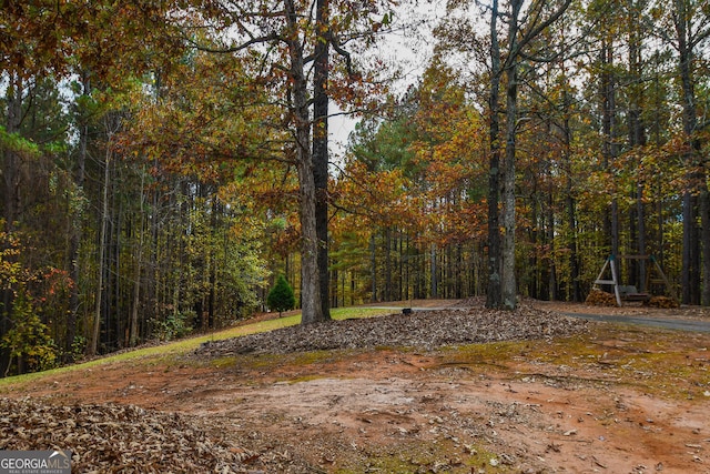 view of local wilderness