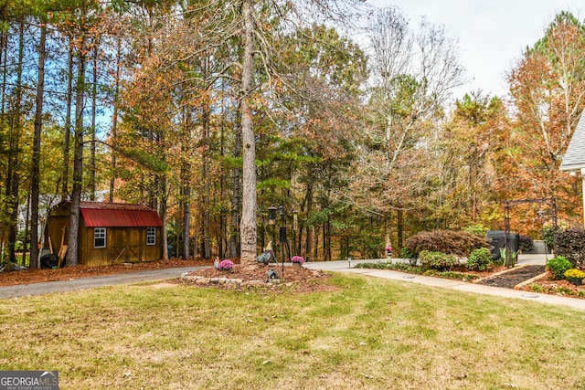 view of yard with a storage shed