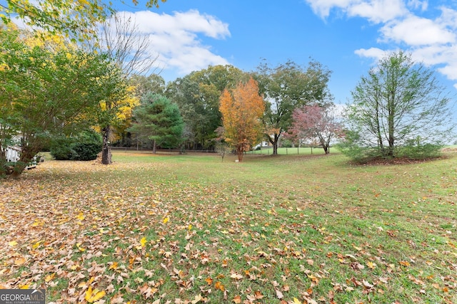 view of yard