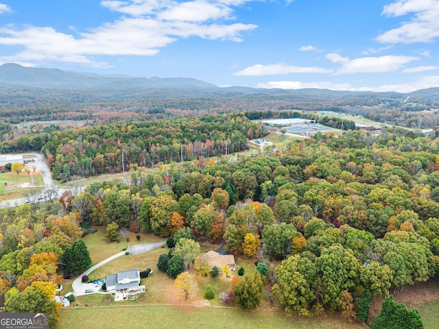 drone / aerial view with a mountain view