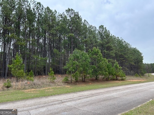 1022 Hunters Lndg, Tignall GA, 30668 land for sale