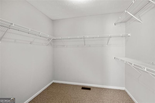 walk in closet featuring carpet