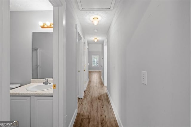 hallway with sink and light hardwood / wood-style flooring