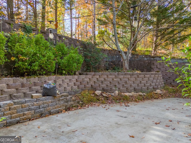 view of yard featuring a patio