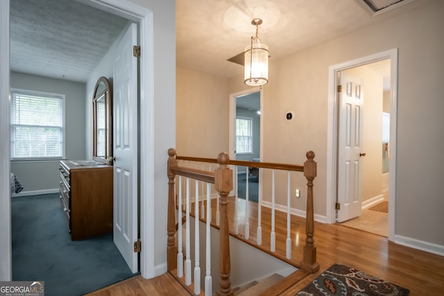 corridor featuring hardwood / wood-style floors and a textured ceiling