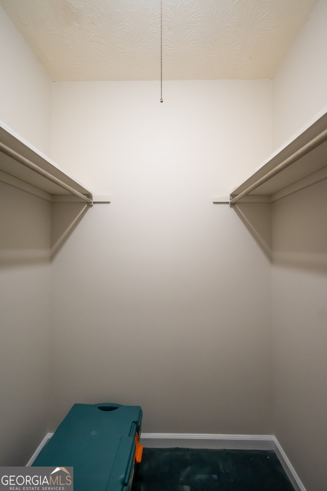 walk in closet featuring carpet flooring