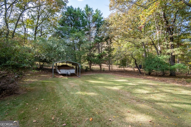 view of yard featuring a carport