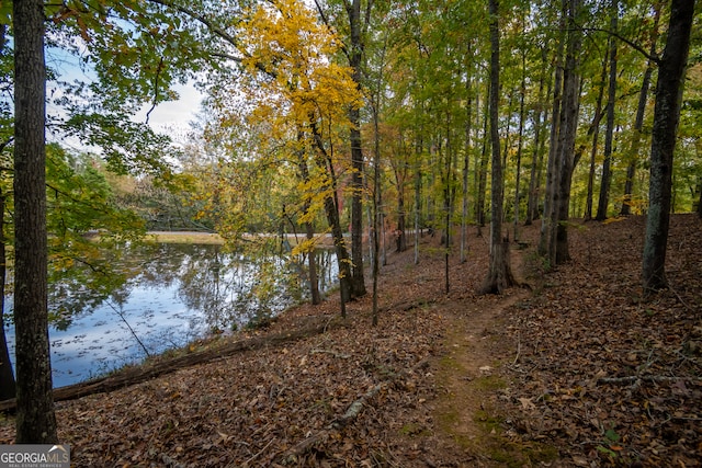 property view of water