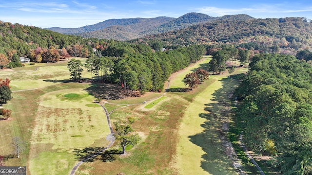 birds eye view of property featuring a mountain view