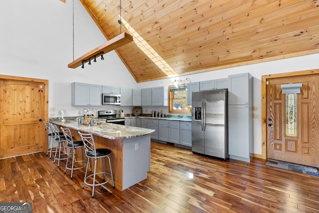 kitchen featuring kitchen peninsula, light stone countertops, stainless steel appliances, dark wood-type flooring, and high vaulted ceiling