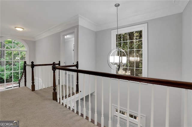 hallway with carpet floors and ornamental molding