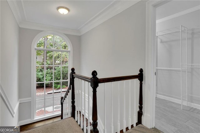 staircase with crown molding