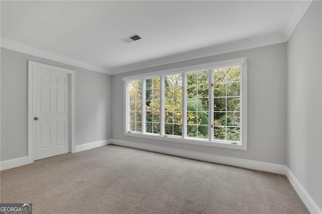 carpeted empty room with ornamental molding and a healthy amount of sunlight