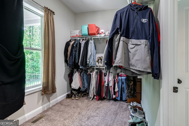 walk in closet featuring carpet floors