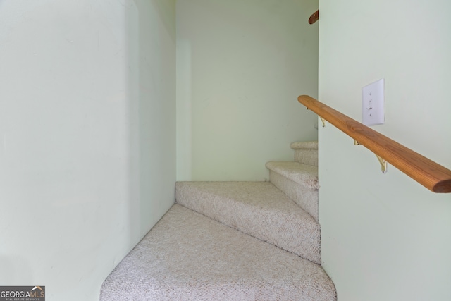 stairway featuring carpet floors