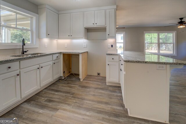 kitchen featuring ceiling fan, white cabinetry, and sink