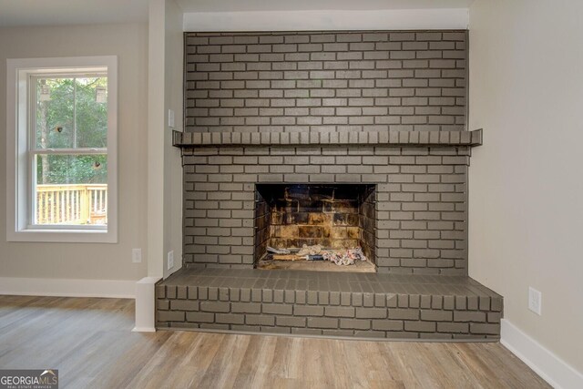 details featuring wood-type flooring and a fireplace