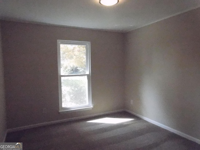 spare room with carpet floors