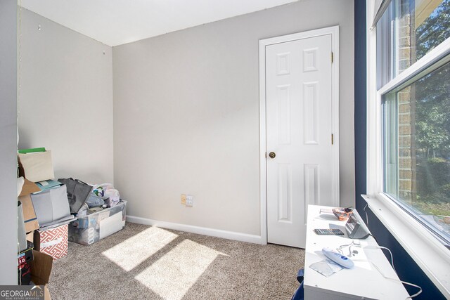 miscellaneous room featuring carpet and a wealth of natural light