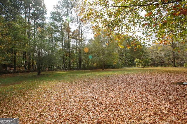 view of yard with a wooded view