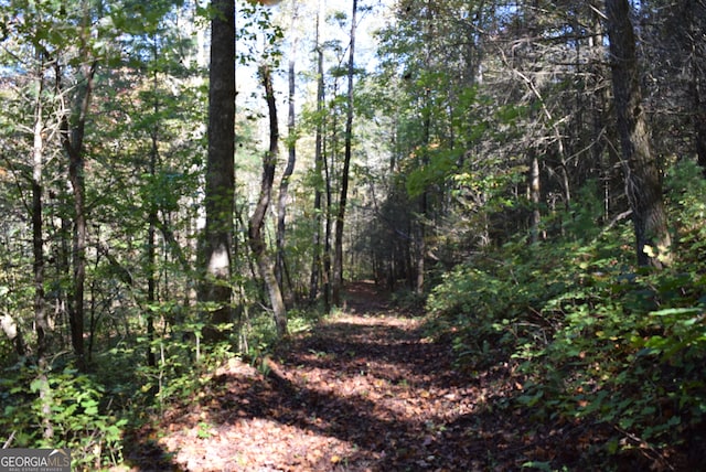 Listing photo 3 for 32.98ACRES Zion Hill Rd, Ellijay GA 30540