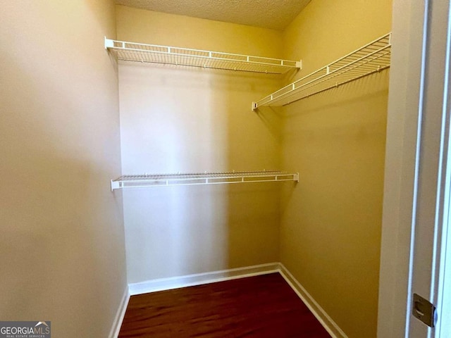 walk in closet with hardwood / wood-style floors