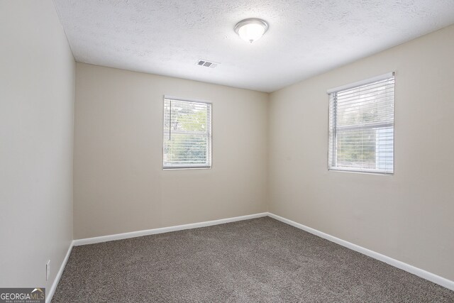 carpeted empty room with a textured ceiling and a wealth of natural light