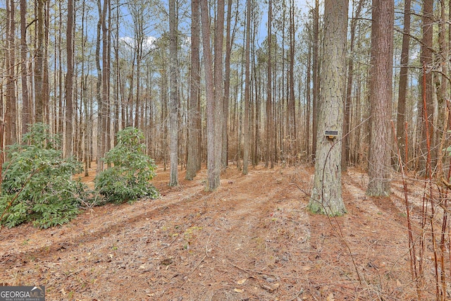 view of local wilderness