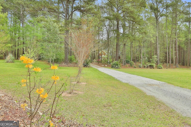 exterior space featuring a yard