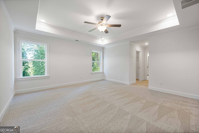 spare room featuring a tray ceiling, a wealth of natural light, crown molding, and ceiling fan