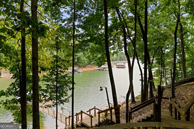 water view with a dock