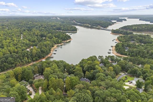124 S Shore Dr, Fair Play, SC 29643 - bird's eye view of a nearby body of water and a forest
