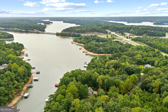 drone / aerial view with a water view