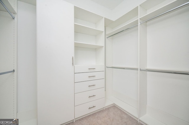 walk in closet featuring light colored carpet