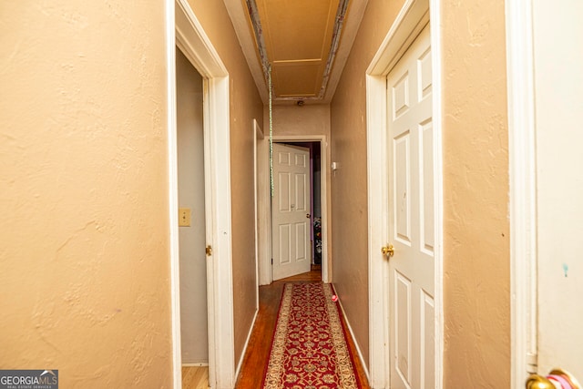 corridor with hardwood / wood-style flooring