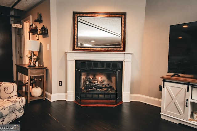 living room with hardwood / wood-style flooring