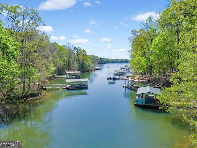 water view with a dock