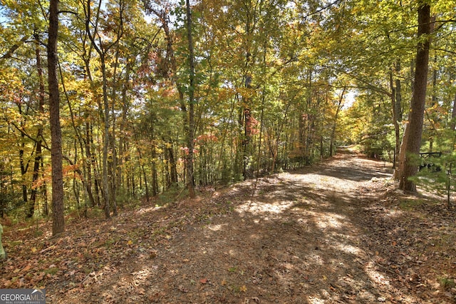 Listing photo 3 for LOT53 N Whitepath Cir, Ellijay GA 30540