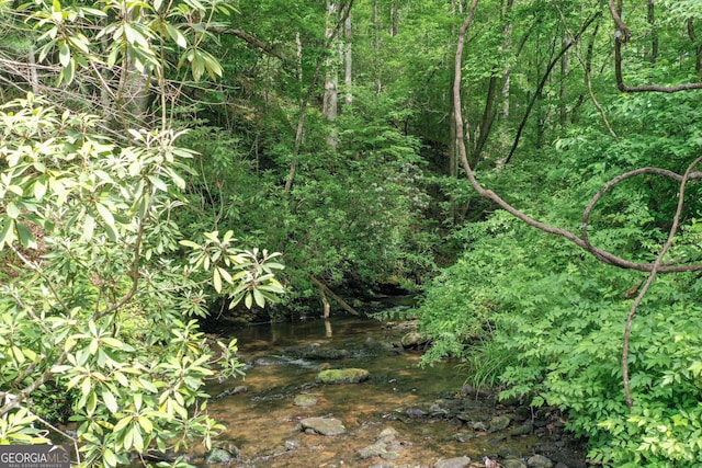 view of local wilderness