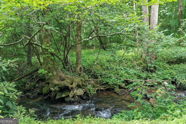 view of local wilderness