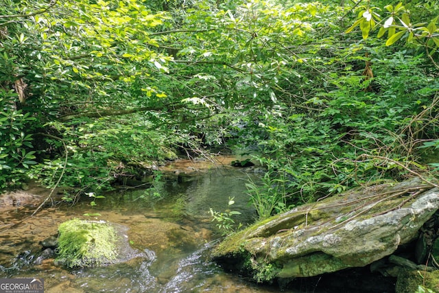 view of local wilderness