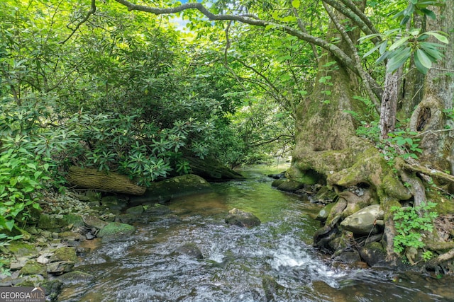 view of nature